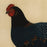 Michel ESTEBE - Hen - Poule - Color mezzotint - 1994