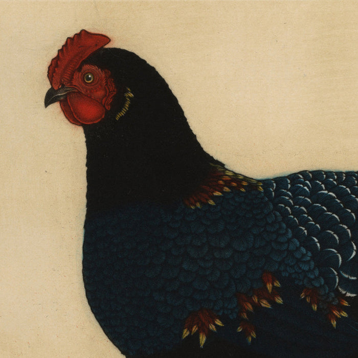 Michel ESTEBE - Hen - Poule - Color mezzotint - 1994