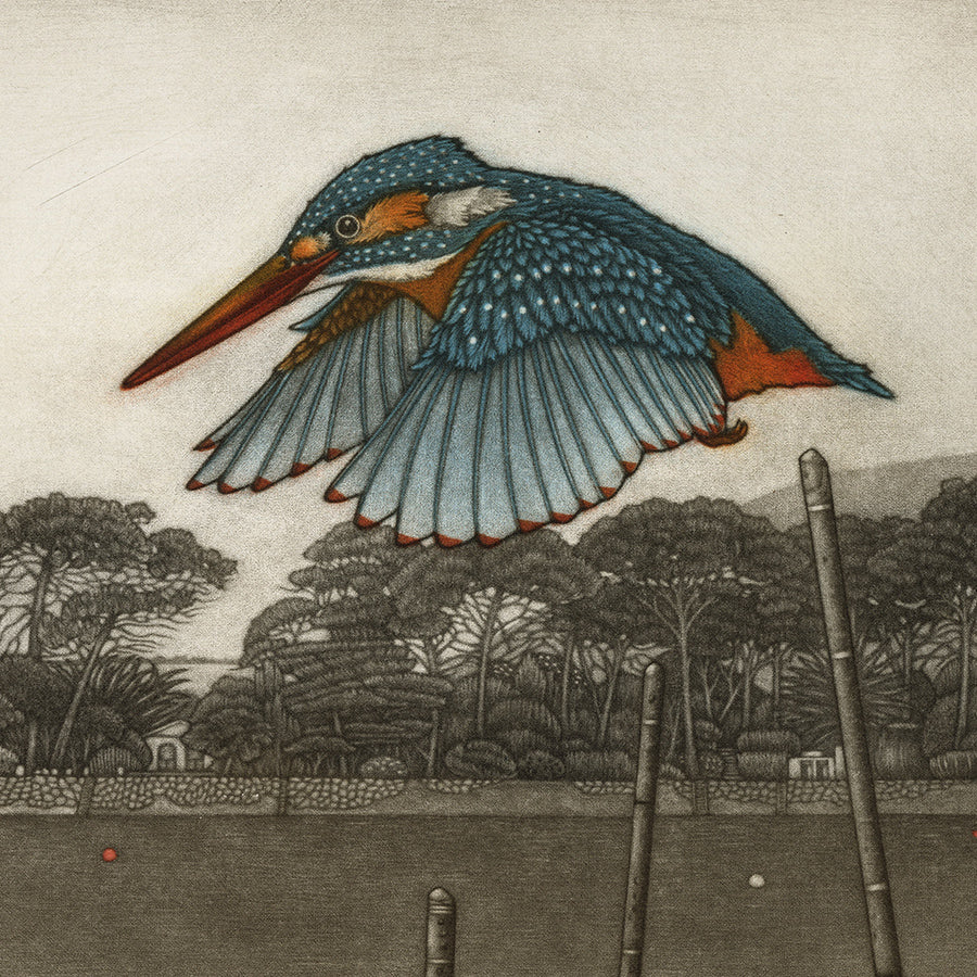 Michel ESTEBE - Kingfisher no. 2 - Color mezzotint - 2025 detail