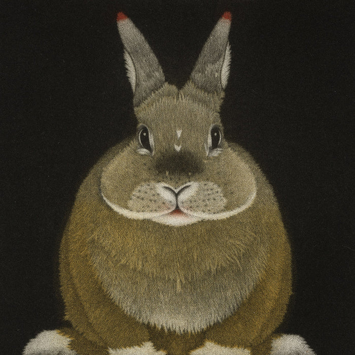 Michel ESTEBE - Lapin - Color mezzotint - 2025  detail