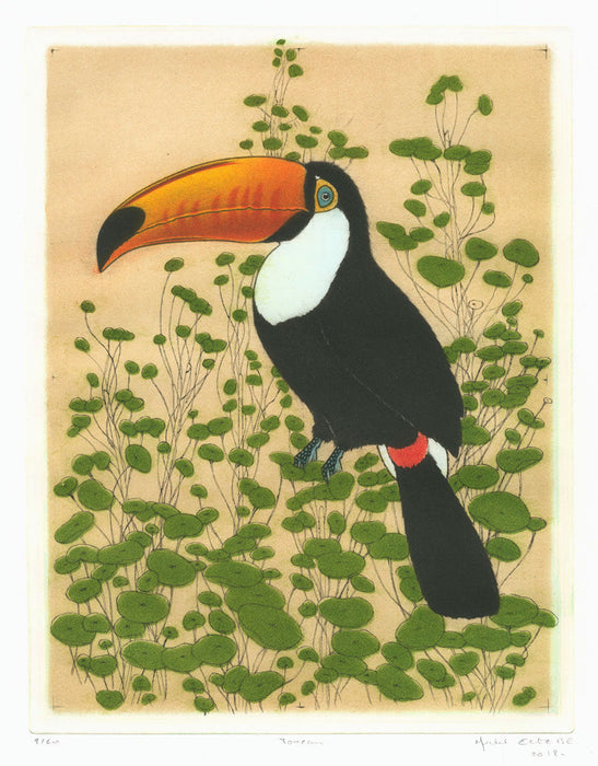Michel Estebe - Toucan - main 