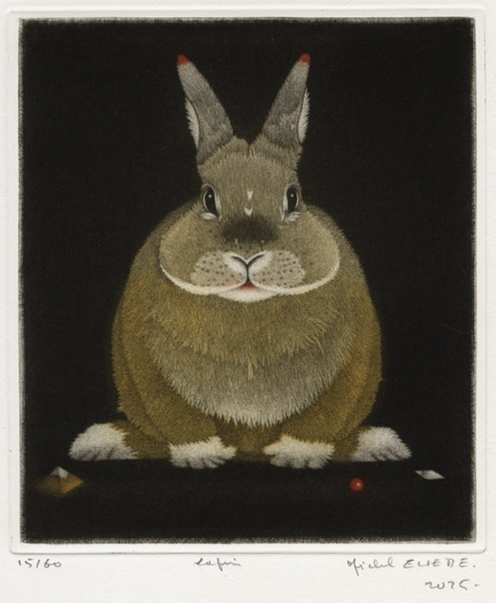 Michel ESTEBE - Lapin - Hare - Color mezzotint — Armstrong Fine Art