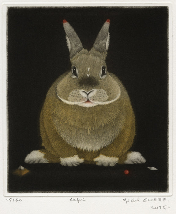 Michel Estebe - Lapin - main 