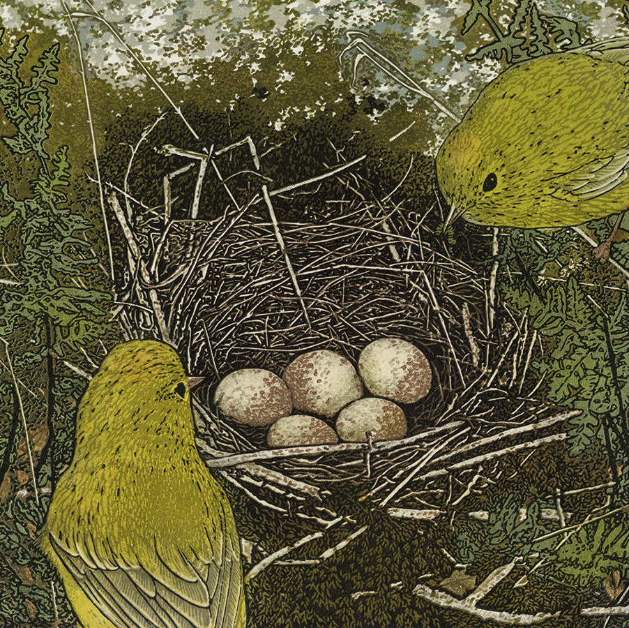 Monique WALES - Anticipation - Nest Series - color linocut reduction - 2025 