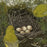 Monique WALES - Anticipation - Nest Series - color linocut reduction - 2025 