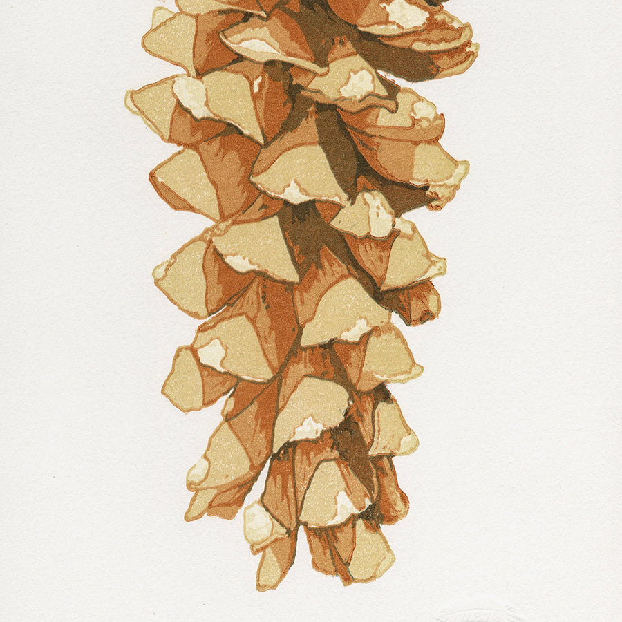 Monique WALES - Sugar Pine - color linocut reduction - 2026