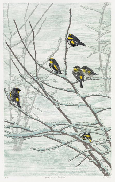 Monique Wales - Butterbutts on Redbuds - main 