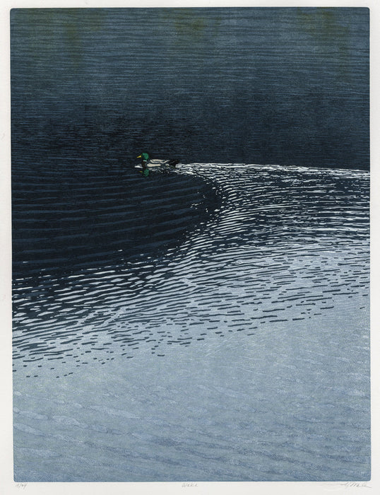 Monique Wales - Wake, Mallard - main 