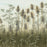 Monique Wales - Field's Edge - Teasels Fennel Wild Oats - foggy atmosphere - detail