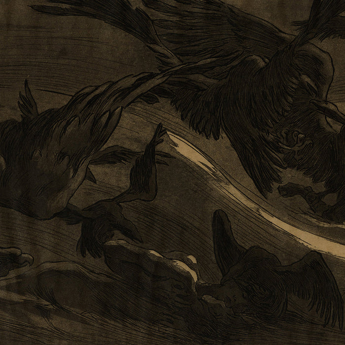 New Victor PROUVÉ - Oiseaux de Proie - Birds of Prey - Aquatint and etching - 1893 - detail