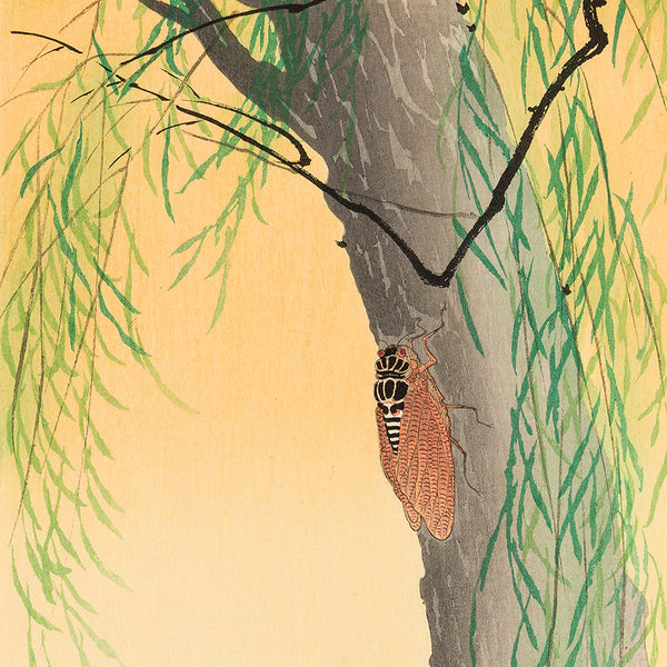 Ohara KOSON - Cicada on a Willow Tree - Woodblock - artist's red