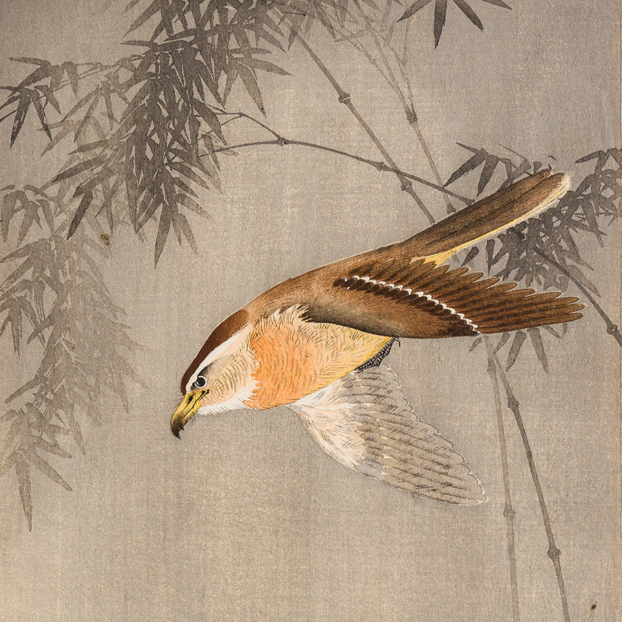 Ohara KOSON - Hawk Chasing an Insect - Woodblock print - artist’s red seal stamp - detail