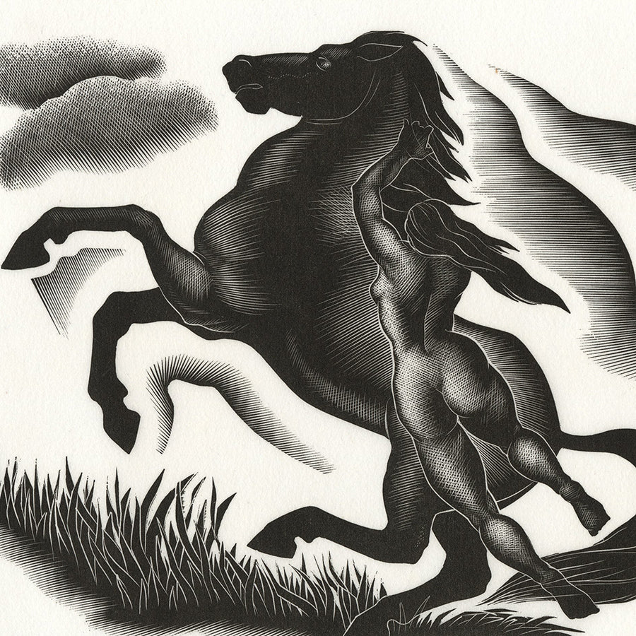 Paul LANDACRE - Black Stallion - Wood engraving - 1940 - detail