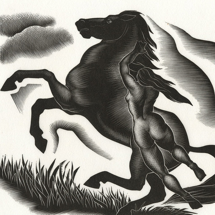 Paul LANDACRE - Black Stallion - Wood engraving - 1940 - detail