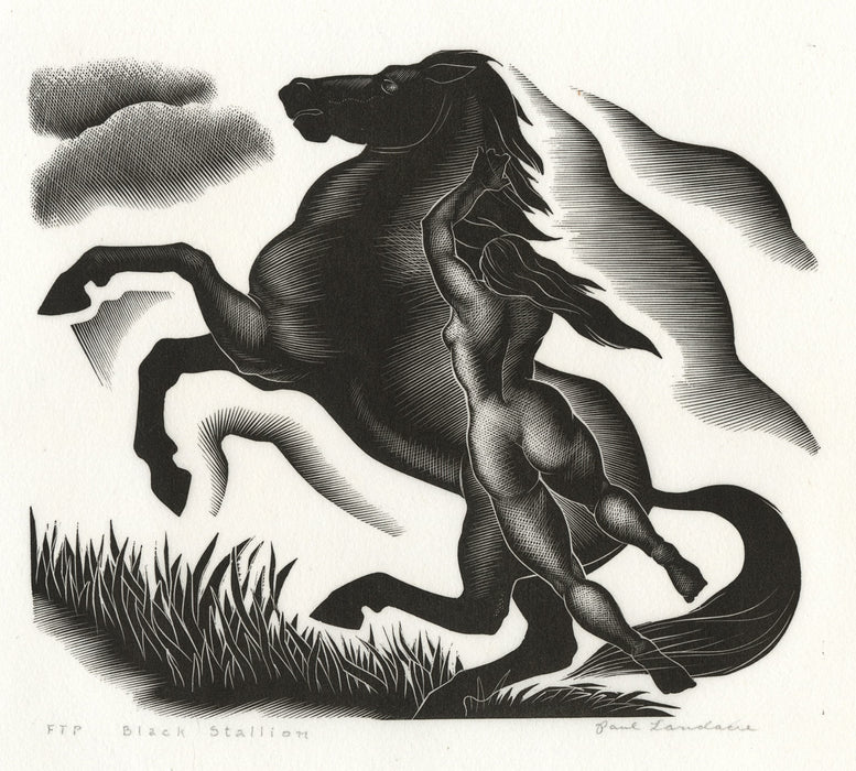 Paul Landacre - Black Stallion - main 