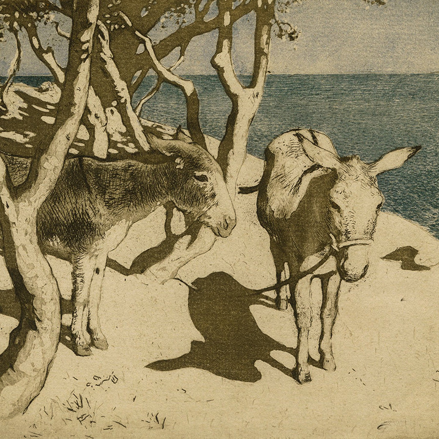 Raoul Du GARDIER  - Donkeys of Kefalonia - Anes de Céphalonie - Aquatint and etching - 1911 - detail
