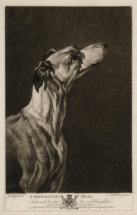 Richard Earlom - A Greyhound's Head - main 