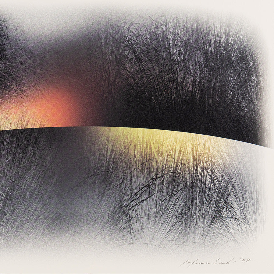 Susumu Endo - Grasses Dusk and Dawn photographic color lithograph 2004-detail