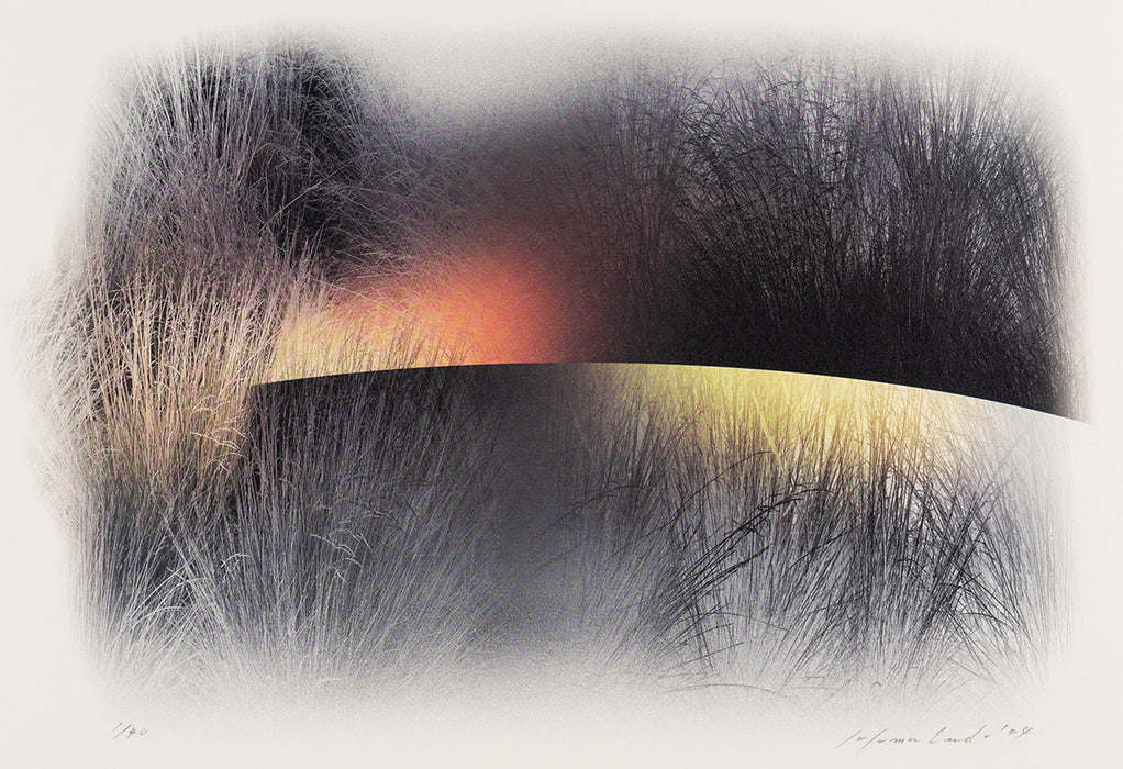 Susumu Endo - Grasses, Dusk and Dawn - main 
