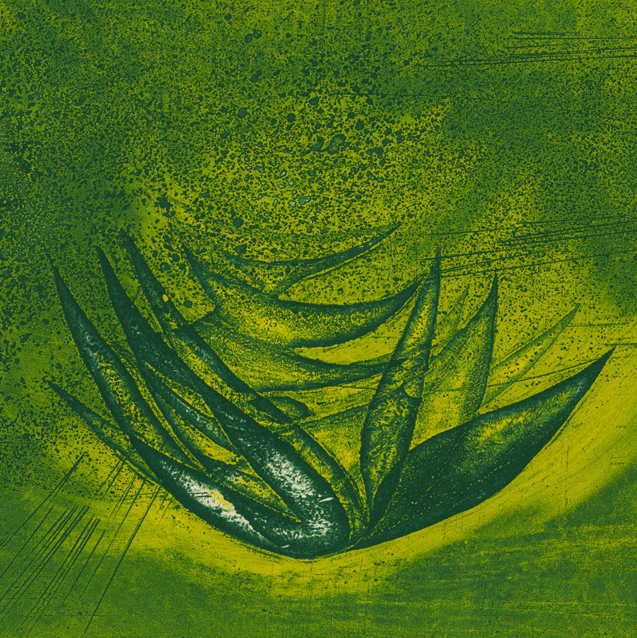 Terry HAASS - Oiseau Fleur - Color aquatint and etching - 1969 - detail