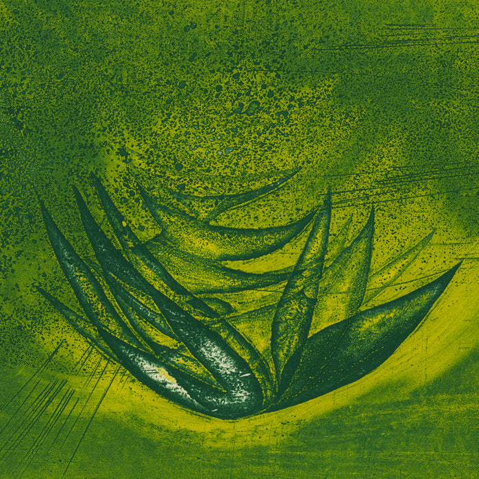 Terry HAASS - Oiseau Fleur - Color aquatint and etching - 1969 - detail