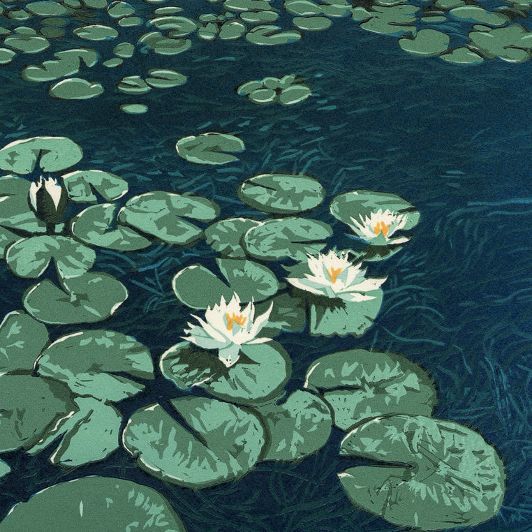 Water Lillies