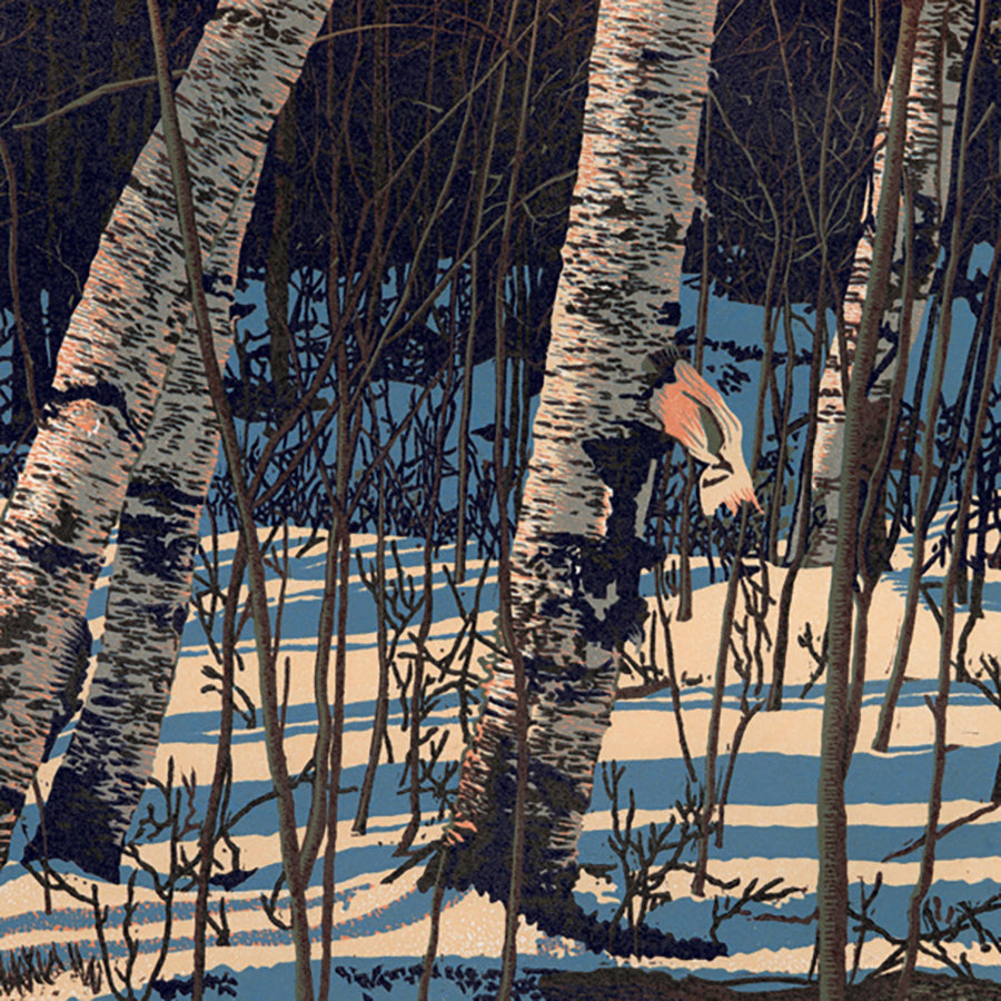 White Birch Shadows