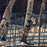 White Birch Shadows