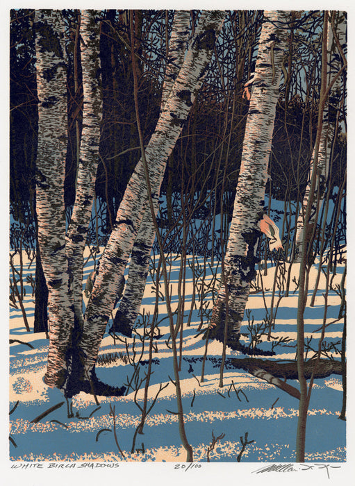William H. Hays - White Birch Shadows - main 