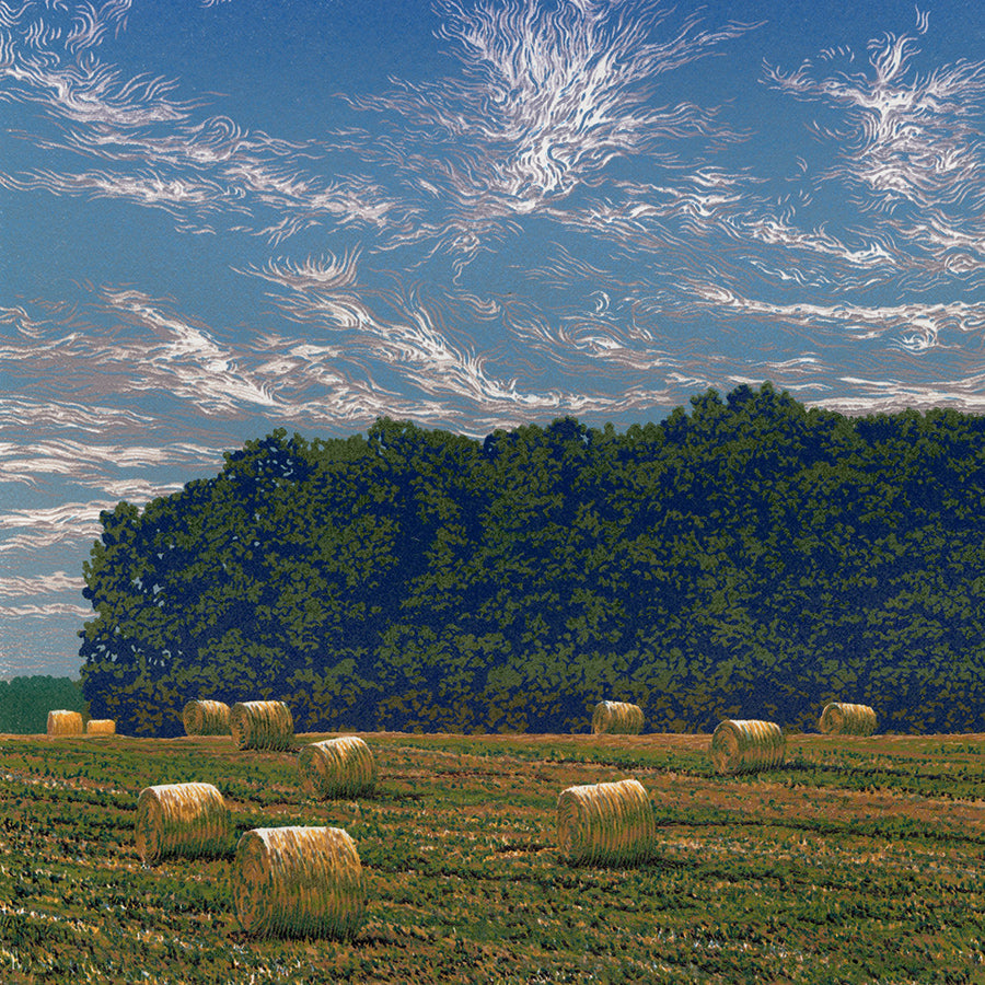 William HAYS  - Summer Field - Color linocut on Stonehenge wove paper - 2024 - detail
