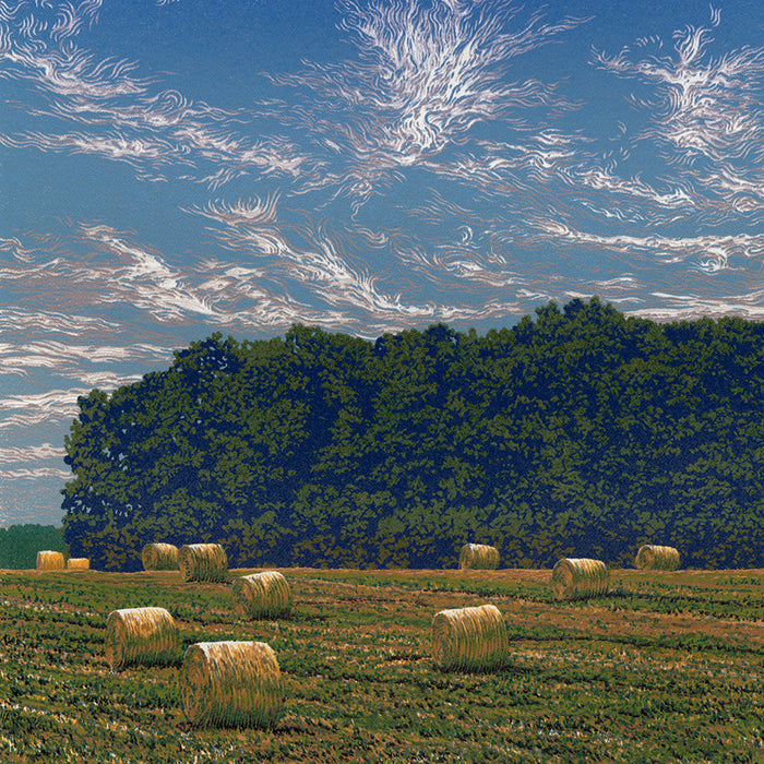 William HAYS  - Summer Field - Color linocut on Stonehenge wove paper - 2024 - detail
