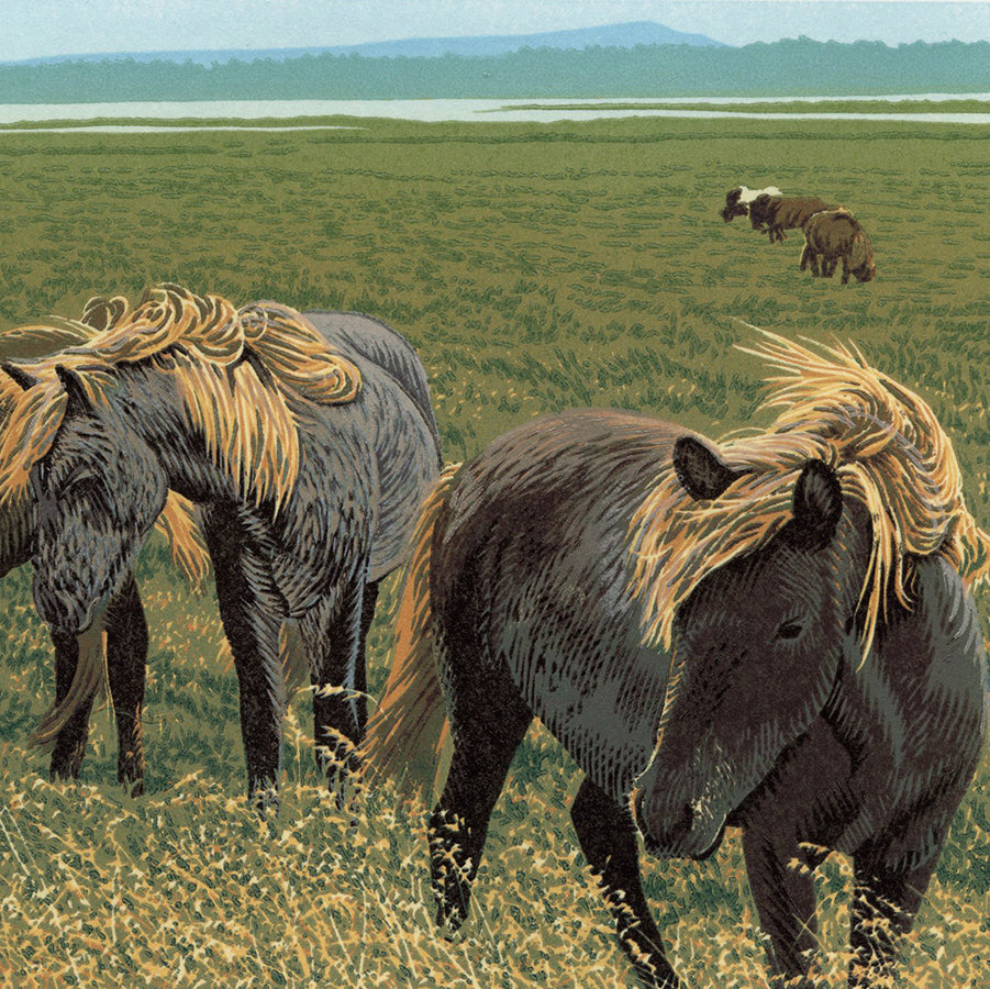 William HAYS -  Fallegir Hestar - Color linocut on Stonehenge wove paper - 2024 - detail
