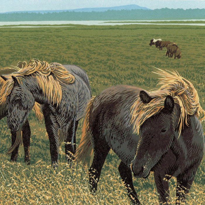 William HAYS -  Fallegir Hestar - Color linocut on Stonehenge wove paper - 2024 - detail
