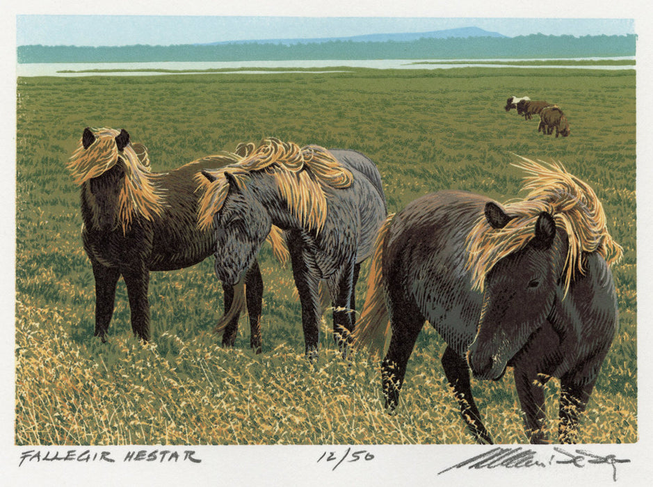 William H. Hays - Fallegir Hestar - main 