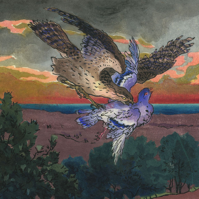 Ch Schiller Schuller - Bird of Prey Attaching a Pigeon in Flight - color woodcut