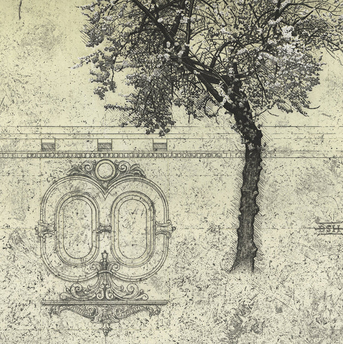 David Smith-Harrison - Plum Tree III - etching and aquatint - architecture