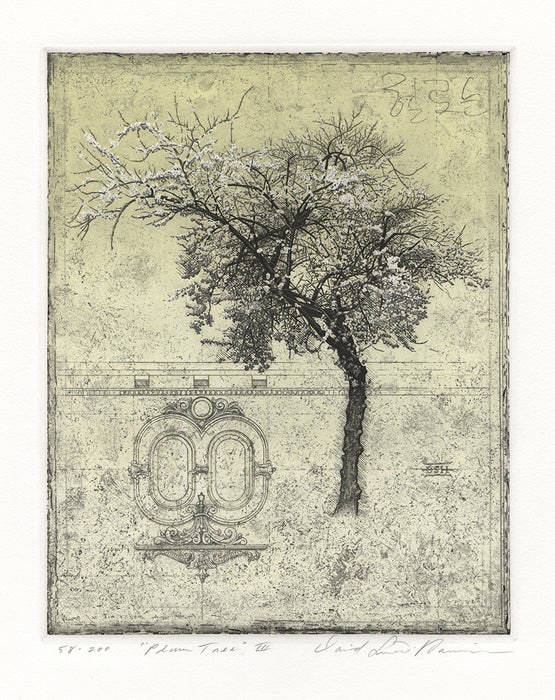 David Smith-harrison - Plum Tree III - main 