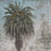 David Smith-Harrison - Royal Palm with Turkish Design - etching