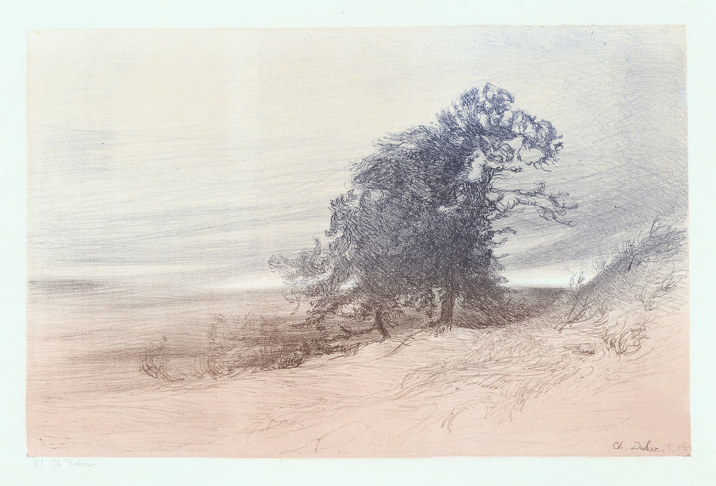 Charles Dulac - Landscape - main 