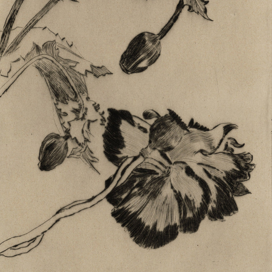 Ernest-Ange Duez - Fleurs - Flowers - drypoint, 1894 detail