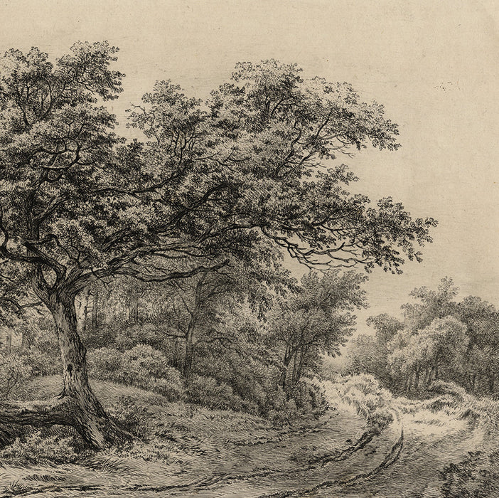 Eugene Blery - Le Ruysdael - Chemin en Foret - teacher of Charles Meryon - old master etching revival - detail