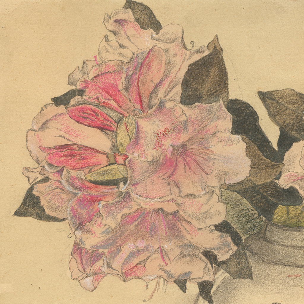 Frans Everbag - Azalea Flowers in a Chinese Vase - pencil watercolor - detail