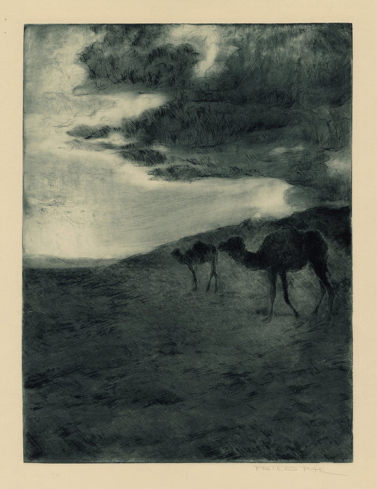 FRIED Pal - Camels in the Desert at Dusk - main 