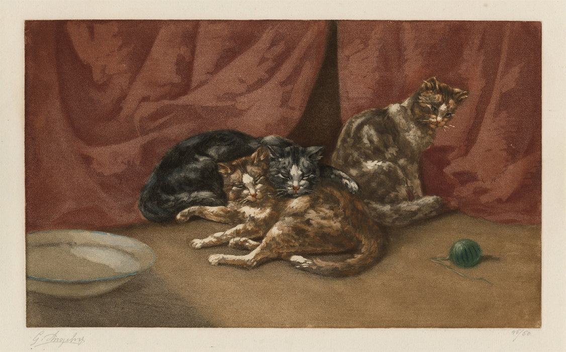 G. Angelvy - Cats Resting - main 