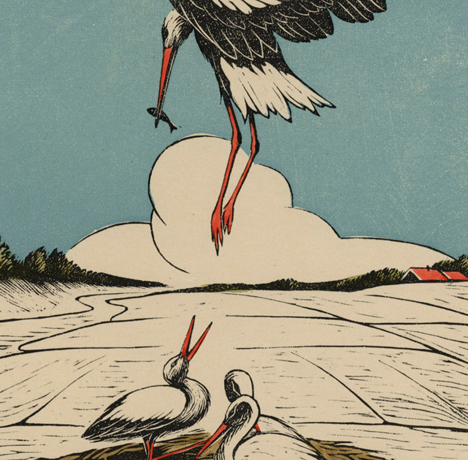 Jan Christiaan Maas - Stork Feeding Its Young - color wood engraving 