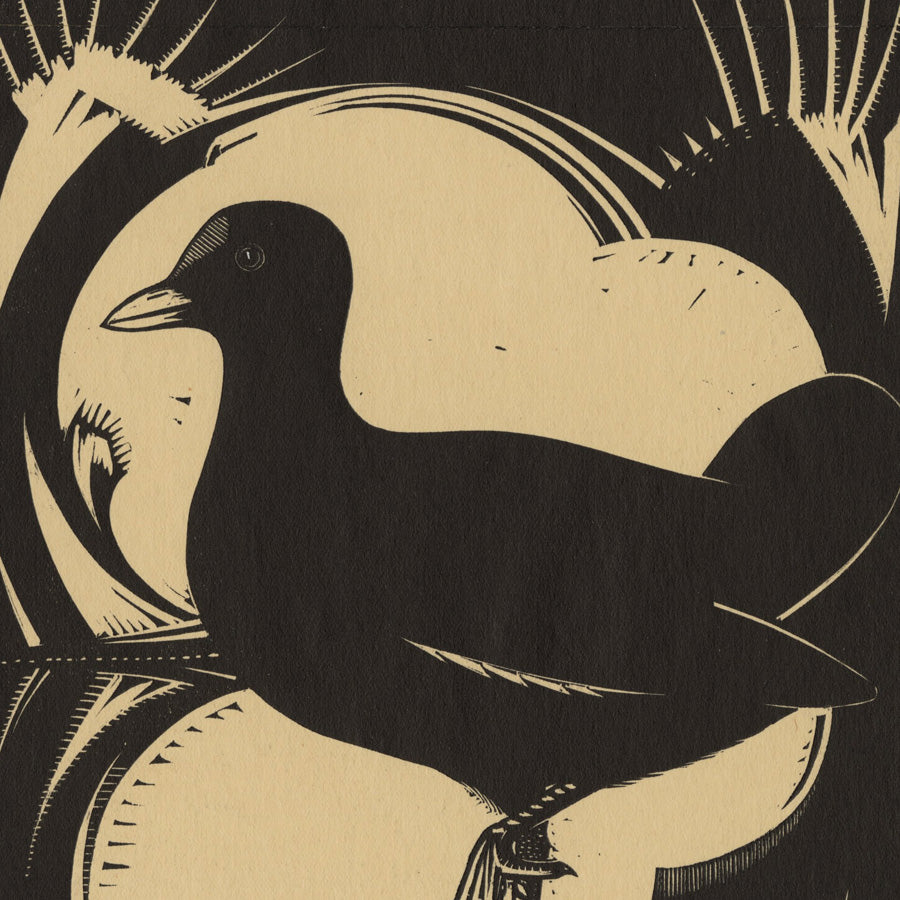 Kees Koeman - Duif - Pigeon - woodcut - detail