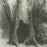 Odilon Redon - je me suis enfonce dans la solitude - j'habitais l'arbre derriere moi - tree - lithograph - detail