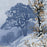 Oscar Droege - Gnarly Winter Oak - Color woodcut on Japan paper