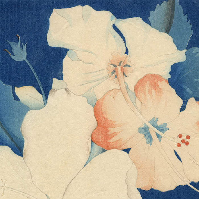 Shirley RUSSELL - Hibiscus - Color woodcut