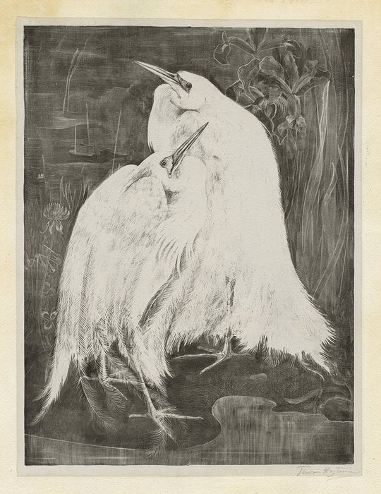 Theo Van hoytema - Two White Egrets - main 